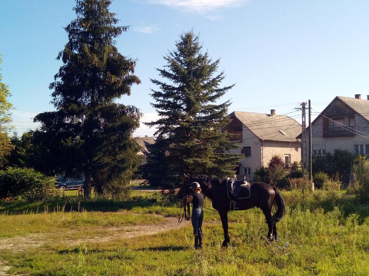 Fenyőfa vendégház Szilvásvárad Exterior foto