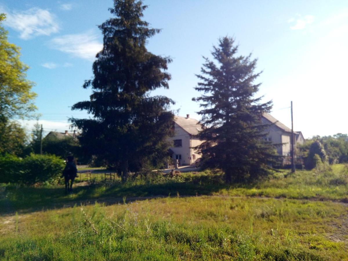 Fenyőfa vendégház Szilvásvárad Exterior foto